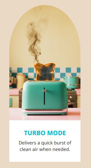 Turbo Mode: delivers a quick burst of clean air when needed