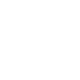 Speed control icon