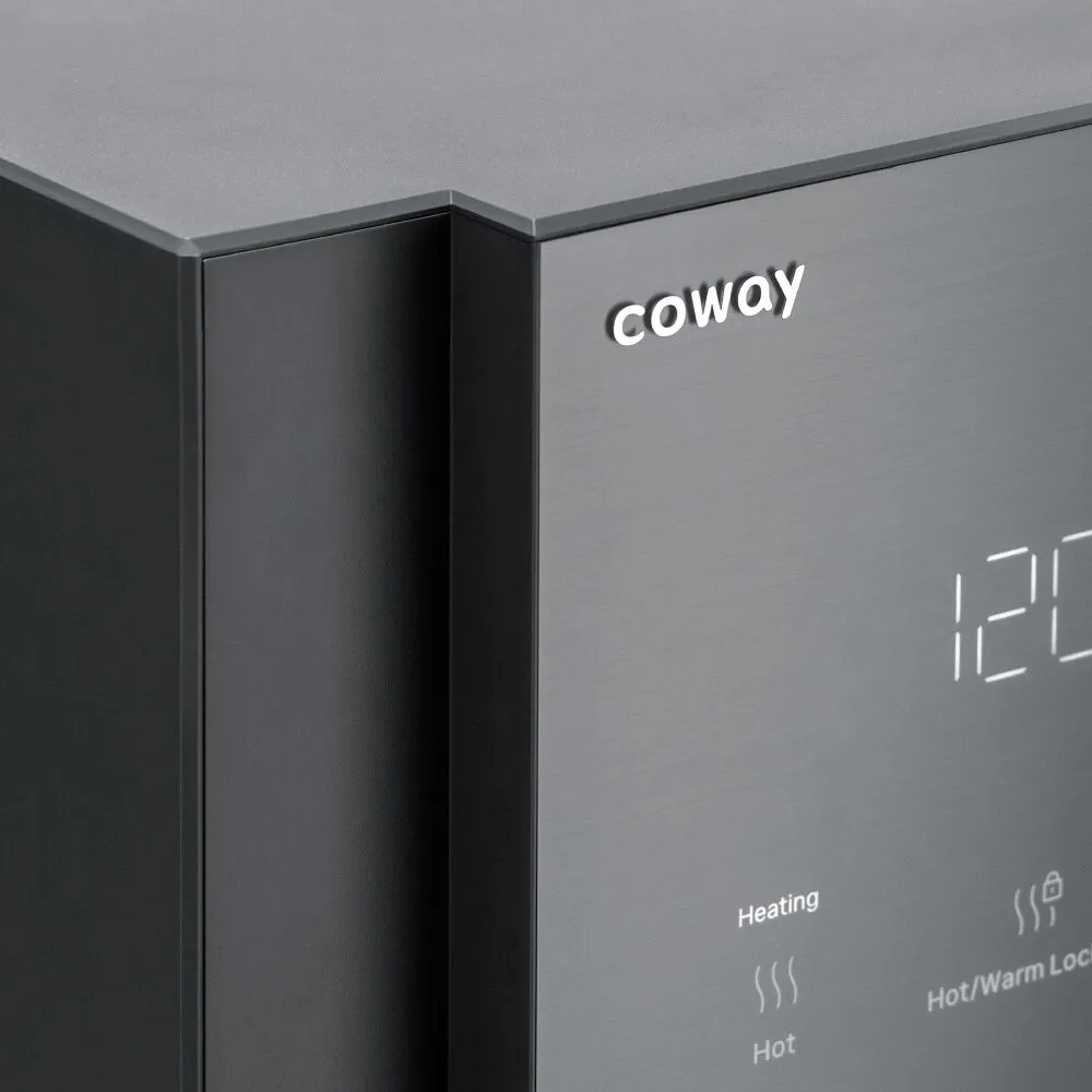 Coway Villaem III side view, close detail